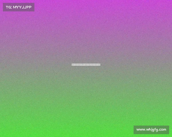 白鲨战队大名单正式出炉，全新阵容引爆期待